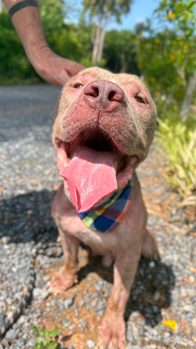 Niall Harbison tweet media