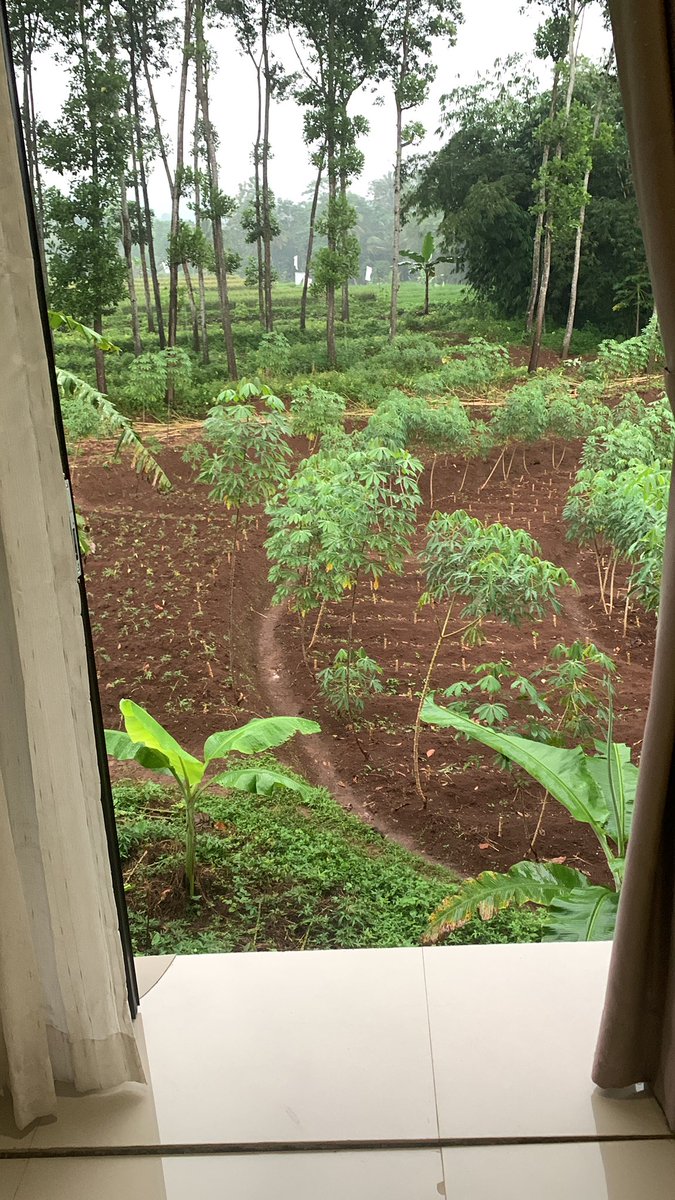 Jauh dari kebisingan