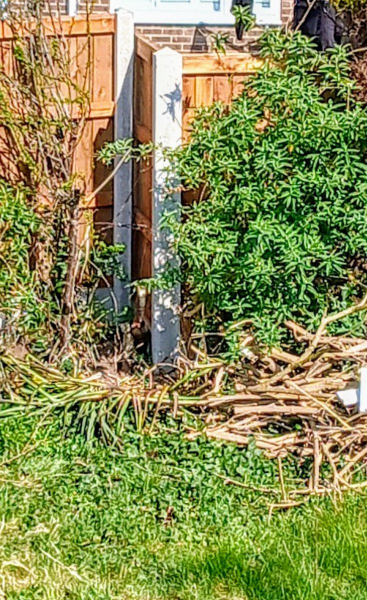 Anthony Blakesley (@anthonyblakes64) on Twitter photo 