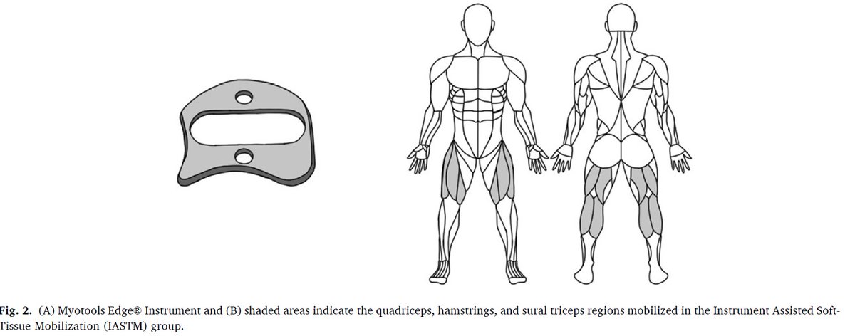 "Instrument Assisted Soft Tissue Mobilization": a popular technique, but does it work? 🤔 We evaluated its effects on vertical jump. See the results! ➡️[Link - authors.elsevier.com/c/1lDUp4rR6wiX… - 50 days' free access] #research #lafesam #unesp #body #therapy