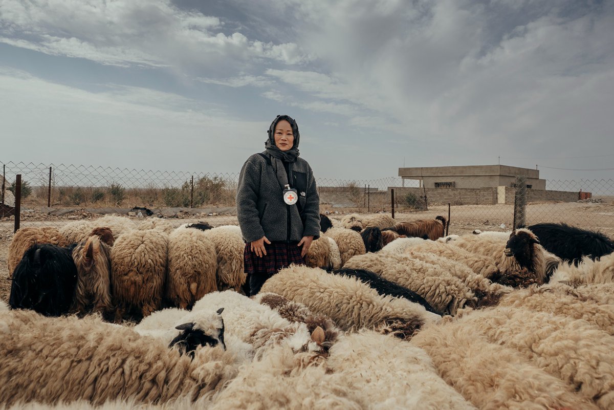ICRC_IQ's tweet image. Eid Mubarak from Iraq!
Here’s Hiro, head of the @ICRC office in Mosul, during a field visit earlier this year to communities still affected by previous conflicts. Those communities were supported through livelihood projects by the ICRC.