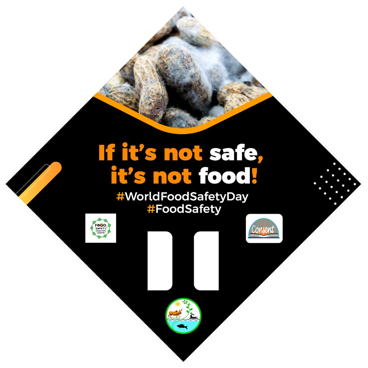 Food safety is not a luxury, it’s a fundamental right and an essential necessity. Yet today, this right faces significant threats. Let’s work together to protect it for all. #FoodSafety #RightToSafeFood