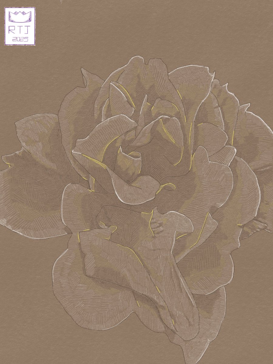 The rose 
RTJ2025

One of my favourite pieces to date

#art