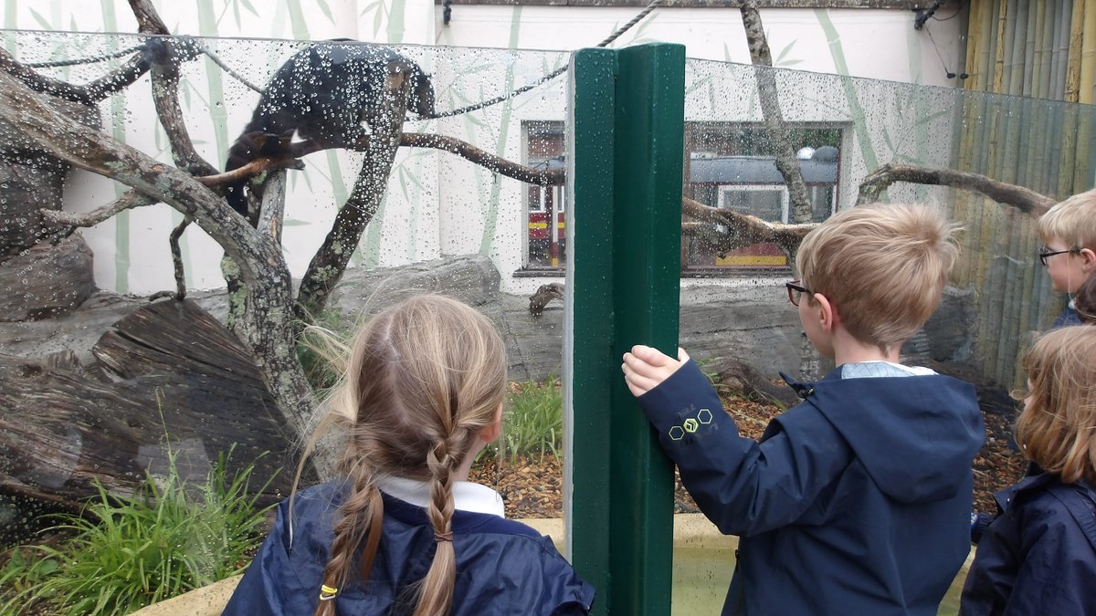 #HazlegroveYear1 thoroughly enjoyed their trip to <a href="/Longleat/">Longleat</a> yesterday. The rain didn’t stop them from seeing lots of animals and exploring a variety of habitats. A great day was had by all!

#HazlegrovePrePrep #HazlegroveTripsandAdventures #GreatStoriesBeginHere