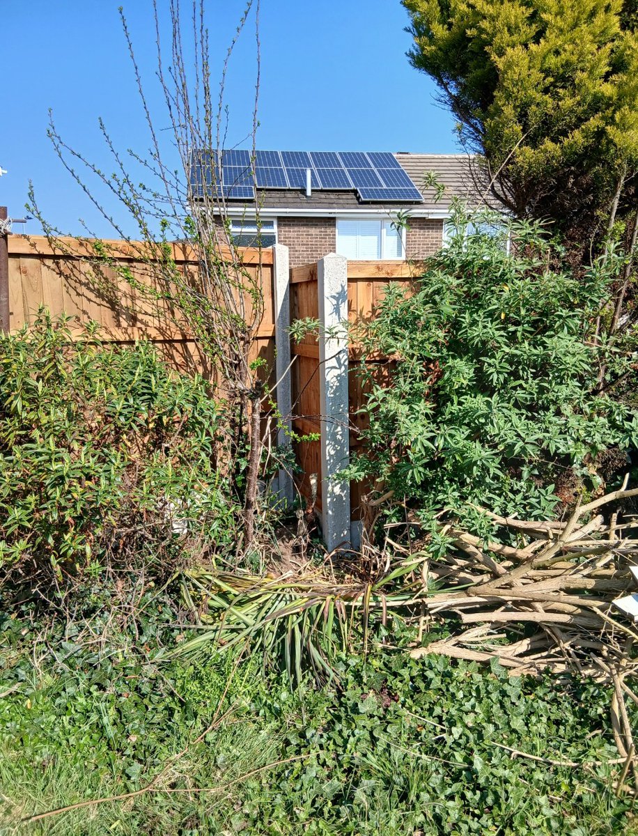 Anthony Blakesley (@anthonyblakes64) on Twitter photo 