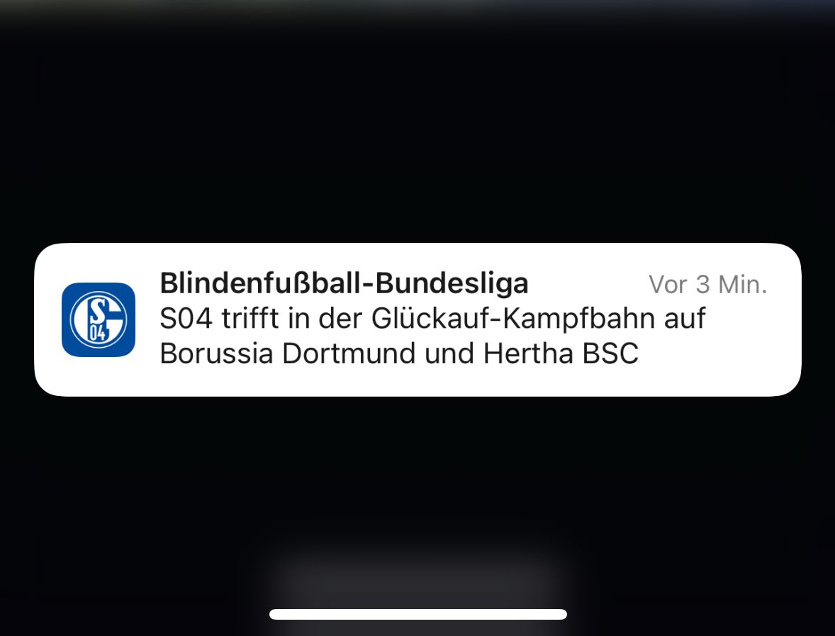 Hoffentlich nicht wieder mit dem Seguin von Anfang an