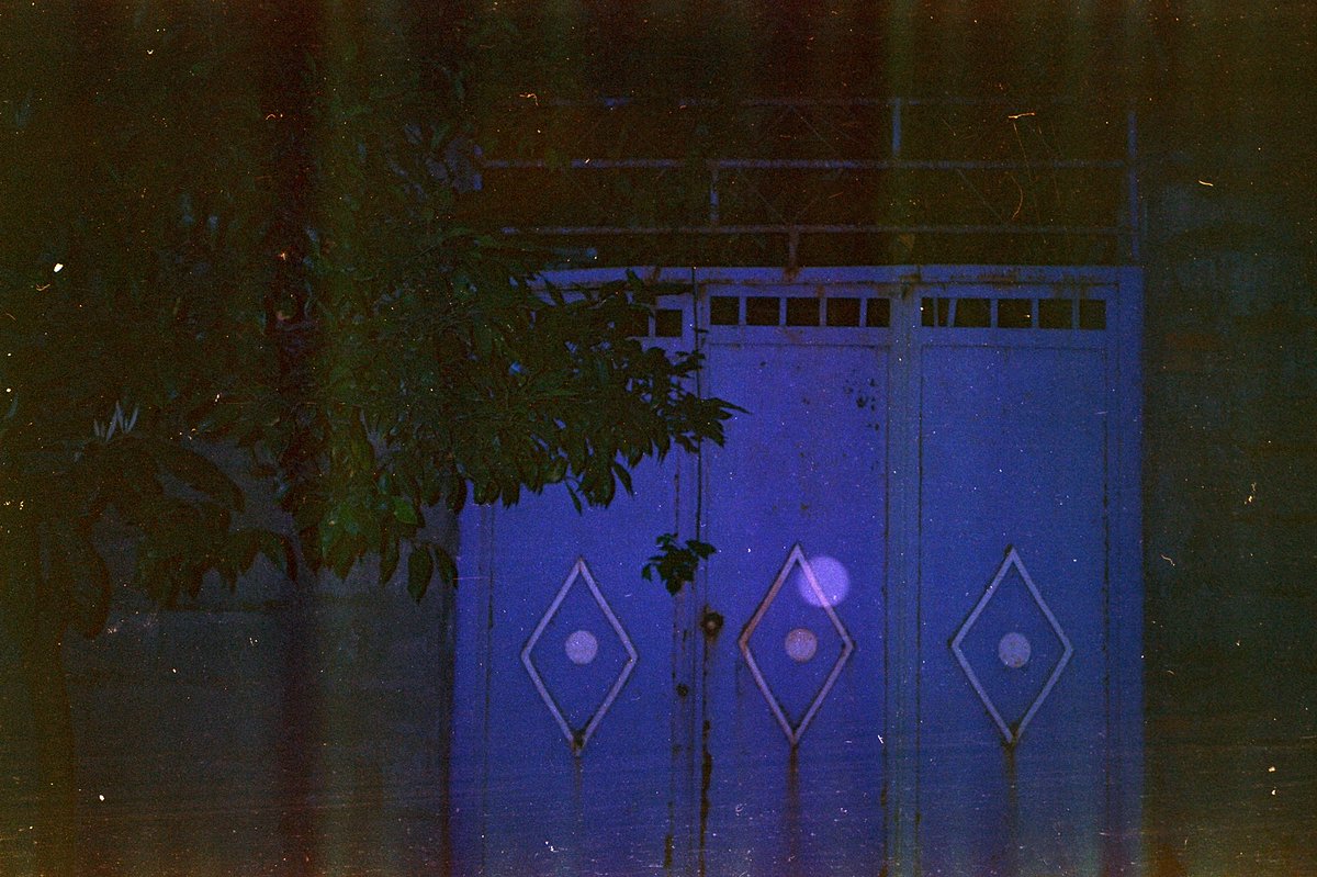 Amir shahmohammad tweet media