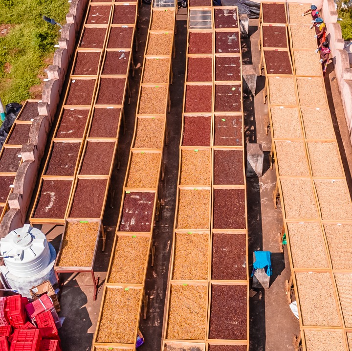 ☕ Aakanksha: Koraput Coffee – A Brew from the Eastern Highlands in Koraput, Odisha!

As part of the Aspirational Districts and Blocks Programme, NITI Aayog celebrates indigenous enterprise and sustainable farming through the Vocal for Local initiative—fostering rural livelihoods