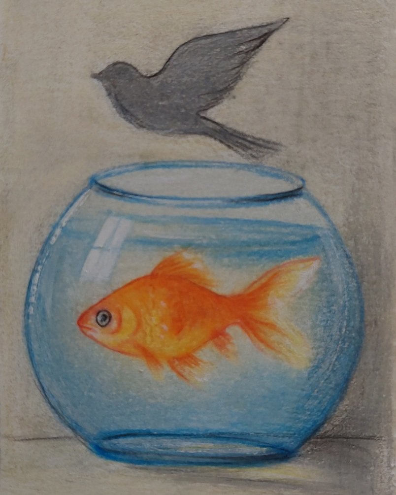 Hey, Artlovers! 
New Drop on <a href="/objktcom/">objkt.com</a> 

Dream of flying 🐠✨
🔸️1/1
🔸️6 $xtz 

A goldfish dreaming of flying...

objkt.com/tokens/KT1UHw4…

#NFTdrops #ArtLovers #drawing