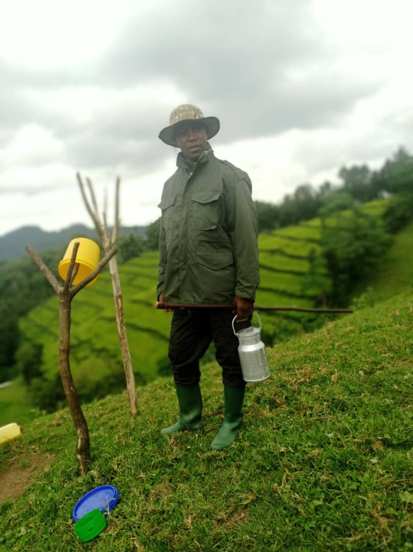 TAllelua's tweet image. The #Rwanda thousand hills 
#IwacuHeza