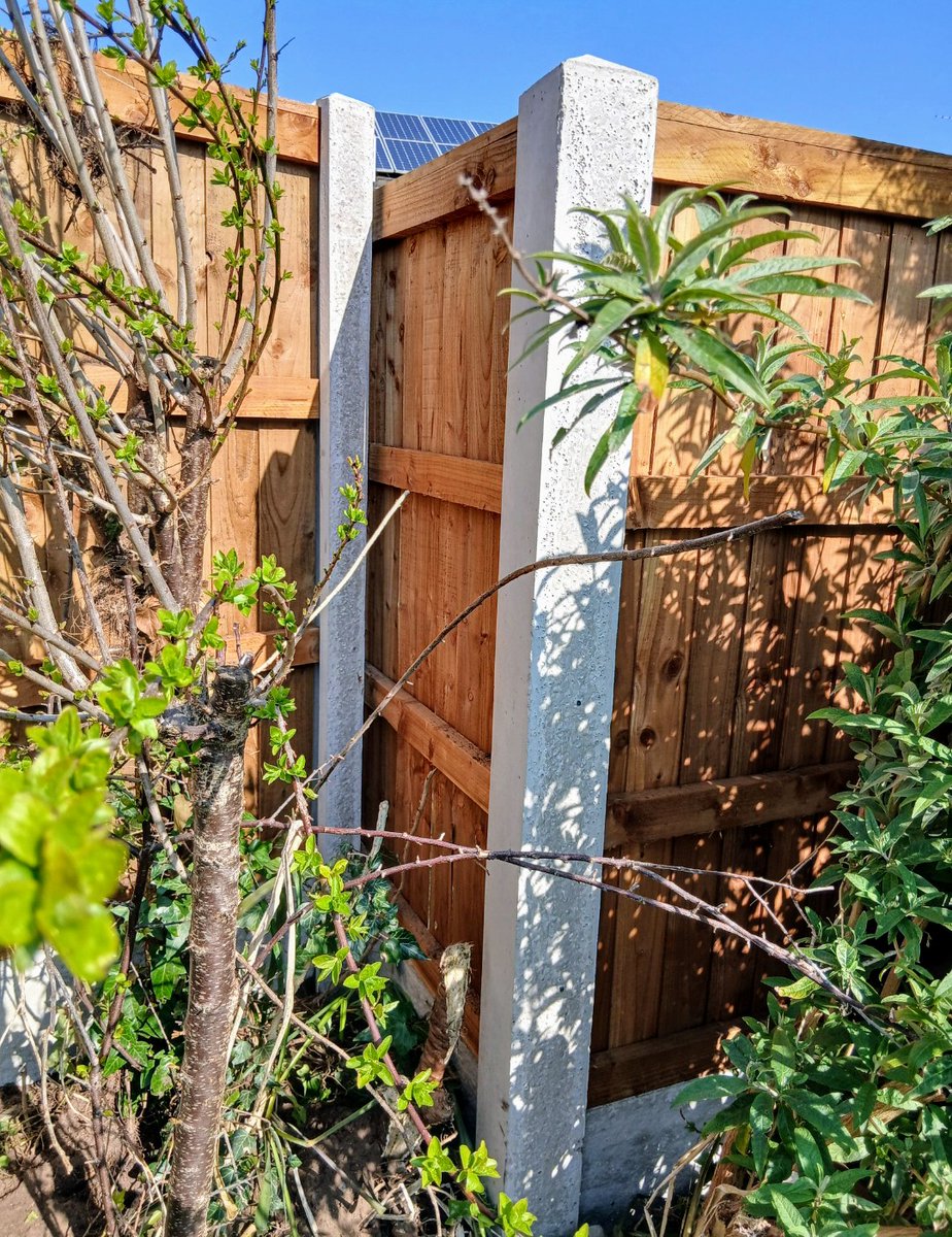 Anthony Blakesley (@anthonyblakes64) on Twitter photo 