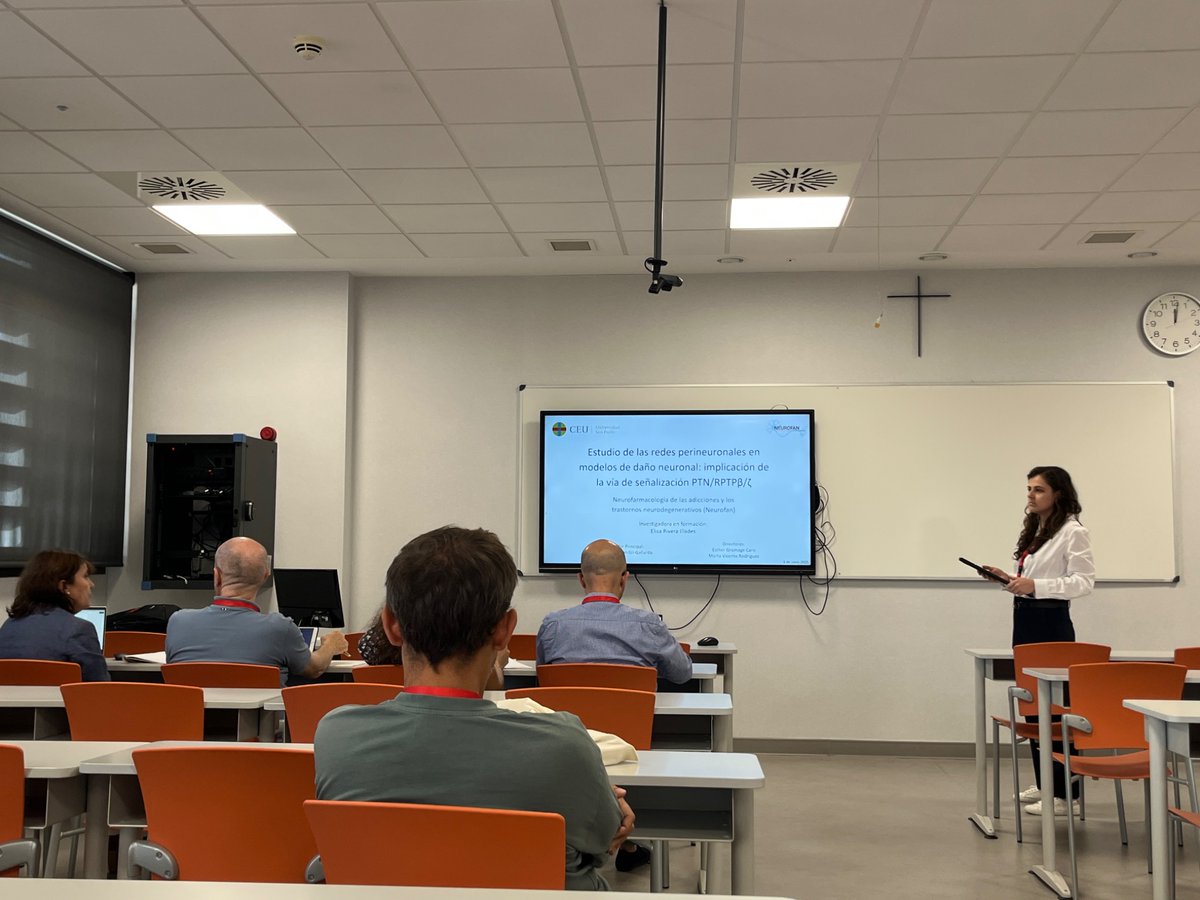 Neurofan Lab tweet media