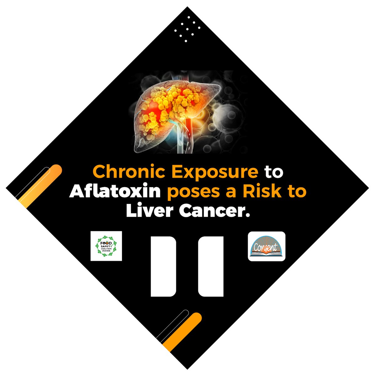 Each year, Uganda records around 3,700 aflatoxin-related cancer cases. Together, we must invest in prevention, mitigation, and control to protect public health. #AflatoxinAwareness #FoodSafety #HealthForAll