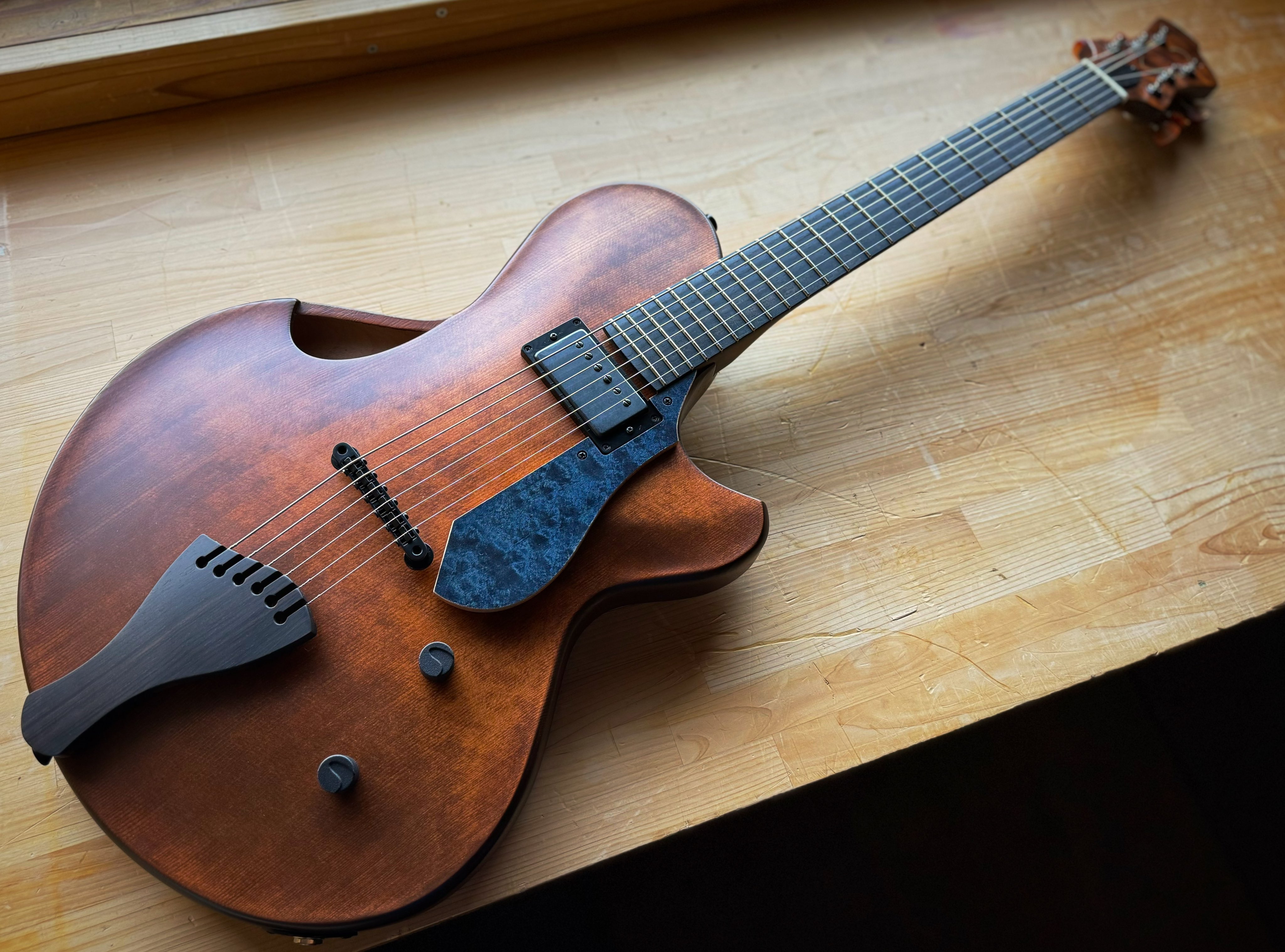 ギター nishi Nishgaki Guitars (Style-N Nishgaki Guitars) Arcus Thinbody