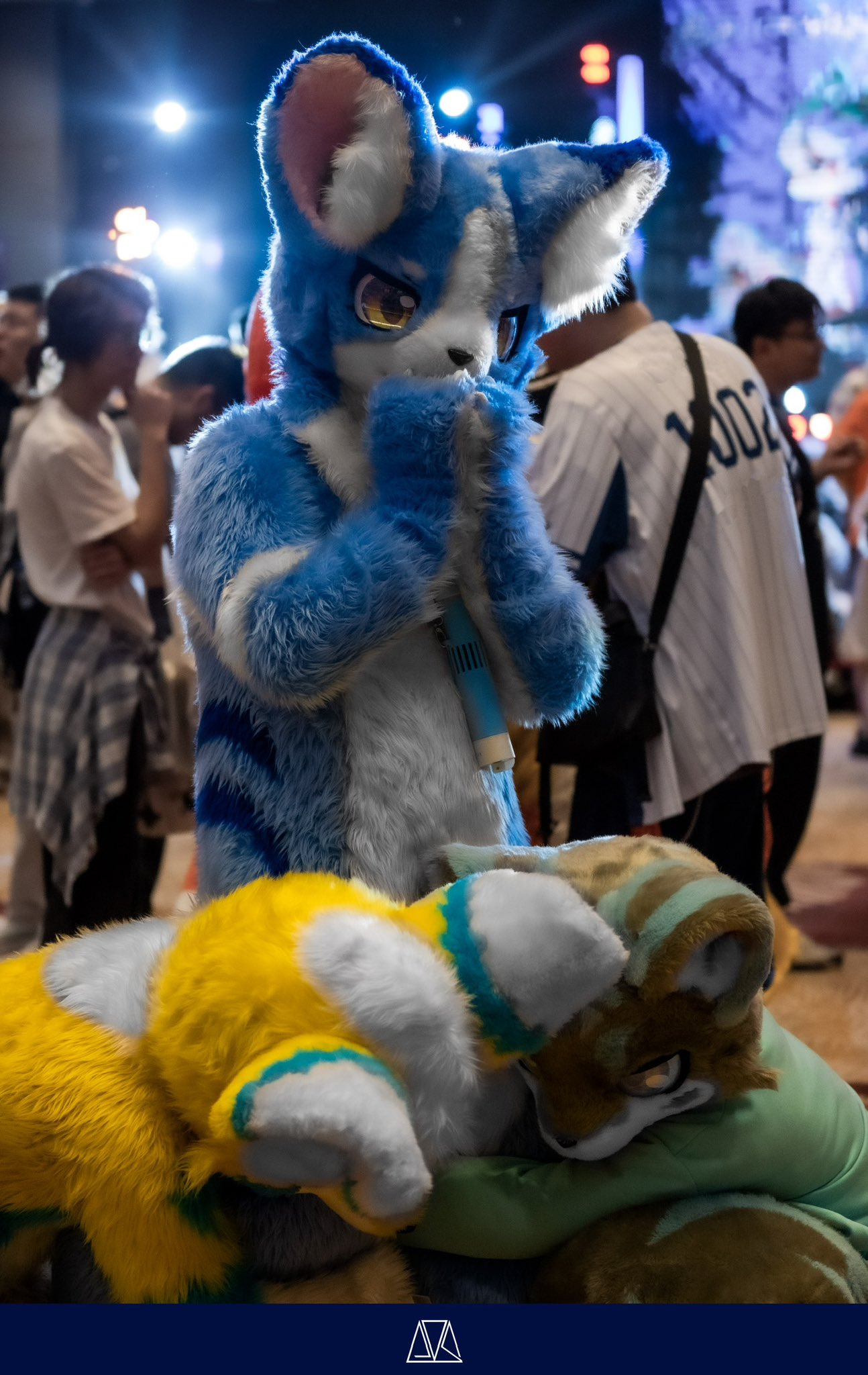 雷狼🐾 (@rairo_wolf) / X