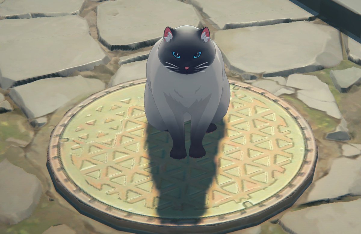 衛非地区のにゃん玉ズ🐈️
(4枚目の猫ちゃんもオスかな🤔)