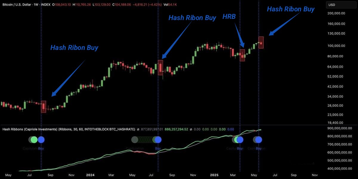 Every single time they get you on the same tricks.
Hash Ribon Drop Trick 🪤

They create Hash Ribbon Buy signal (in history 14/15 continues the bull market, 90% )

Then immediatelly after it they create a crash 📉.

Everybody screams and forgets.😱

They reverse it to upside and