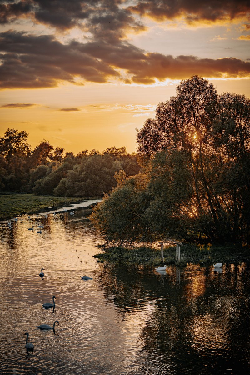 постоянно кажется, что я сняла недостаточно хорошо, что надо еще более лучше, а потом вспоминаю, что фотографирую настроение!