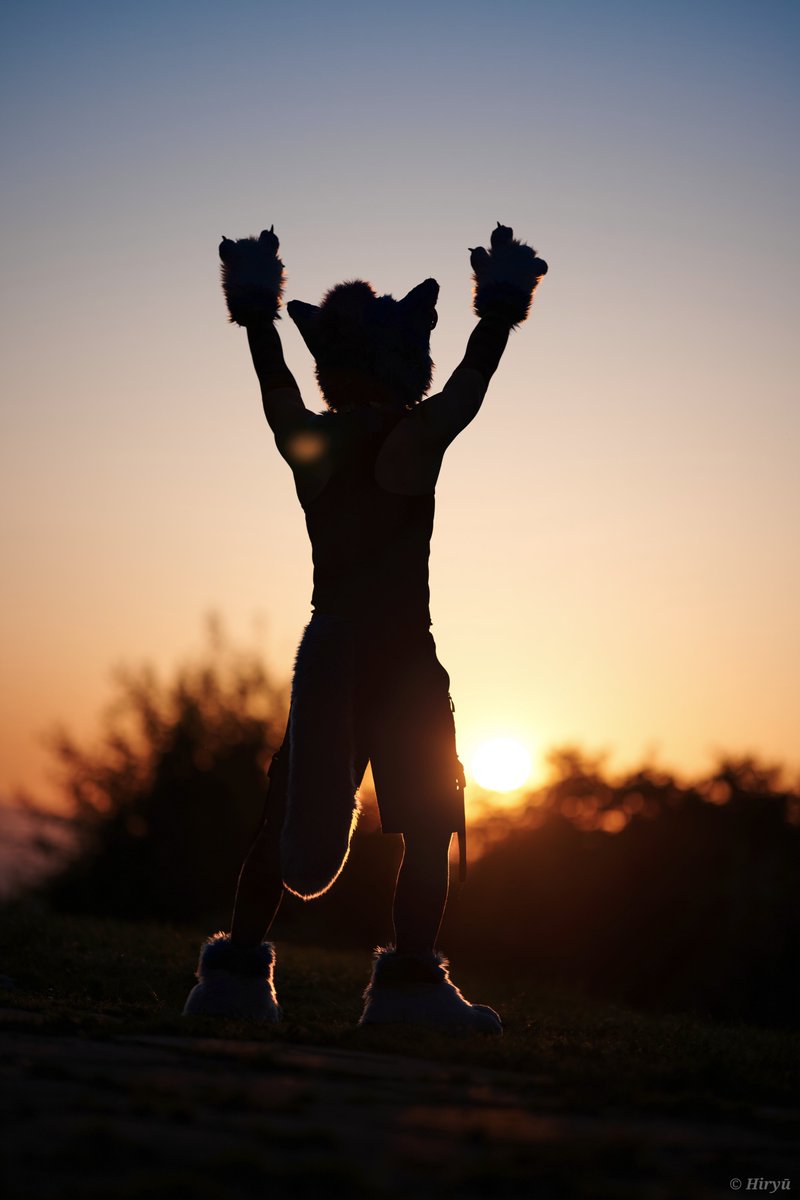happy fursuit friday everyone!

this is the most epic fursuit picture i've gotten so far

many thanks to <a href="/HiryuTheDragon/">Hiryū</a> for your outstanding skills behind the camera

#schwarzaldcon #fursuitfriday