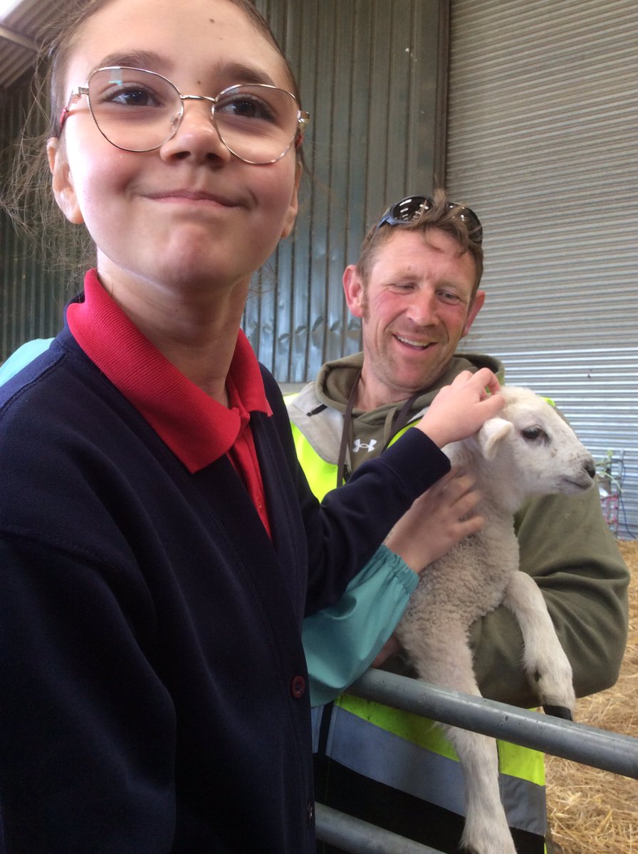 Westfield Primary School (@westfieldschl) on Twitter photo A great day out at <a href="/ScaldEndFarm/">Scald End Farm</a> for our owls class. It was great to see a working farm in action and the children came away with lots of new facts and knowledge. Thank you Tom. #TeamWestfield A great day out at <a href="/ScaldEndFarm/">Scald End Farm</a> for our owls class. It was great to see a working farm in action and the children came away with lots of new facts and knowledge. Thank you Tom. #TeamWestfield
