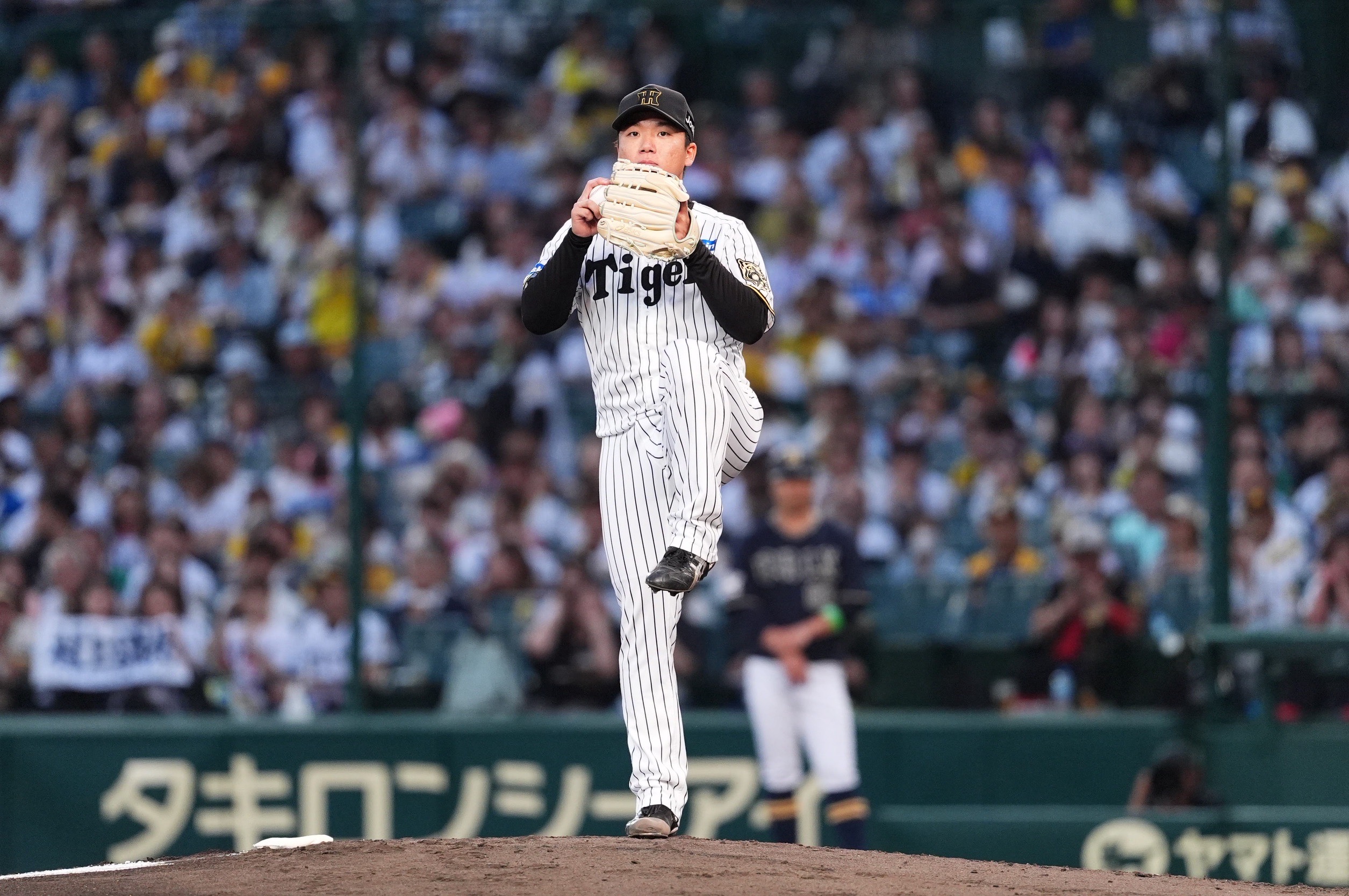 大阪桐蔭 半袖vジャン 早い者勝ち 値段交渉コメント 大阪桐蔭高