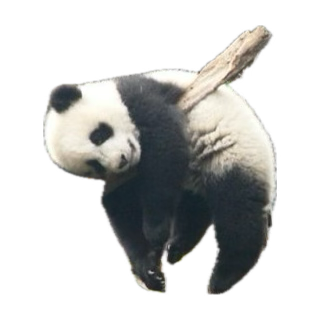 Watch Intuition's leaked NSFW photo on TwXstars