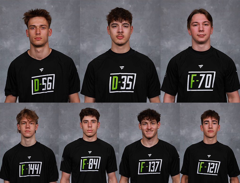 Czech players participating in the 2025 NHL Scouting Combine.

Defensemen Radim Mrtka and Max Pšenička, forwards Adam Benák, Václav Nestrašil, Vojtěch Čihař, Tomáš Poletín and Matouš Kucharčík.

#2025NHLDraft