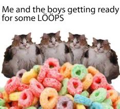 loopsonsol's tweet photo. Ayyyyyy https://t.co/sGlUo1pB32