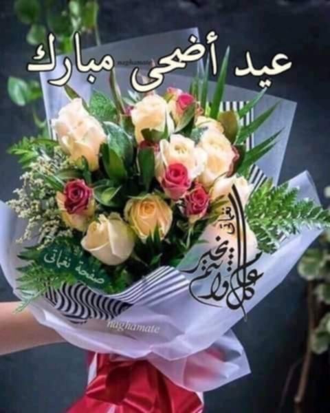 اسمر (@abwbkrjmal2) on Twitter photo 