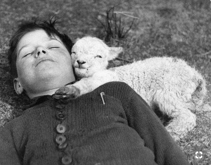 Kültür Tava (@kulturtava) on Twitter photo 