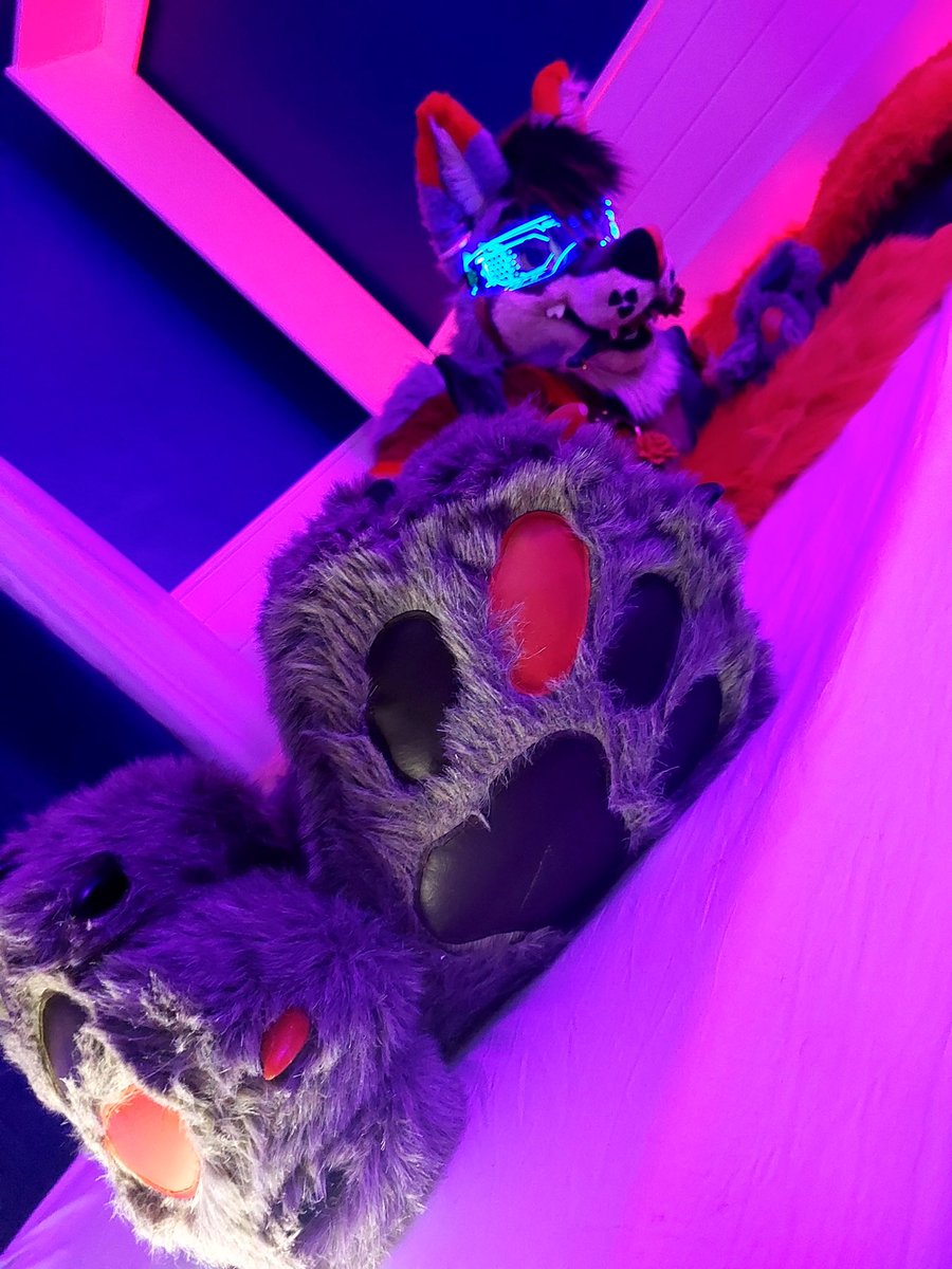 Apollo Shinn @FWA 25 & @MFF 25 (@the_foxy_apollo) on Twitter photo Ransom wish you a very #happyfursuitfriday suit by <a href="/MadeFurYou/">Made Fur You</a> picture by <a href="/ZorakKarter/">Zorak / Maldir 📸🎵💜</a> Ransom wish you a very #happyfursuitfriday suit by <a href="/MadeFurYou/">Made Fur You</a> picture by <a href="/ZorakKarter/">Zorak / Maldir 📸🎵💜</a>