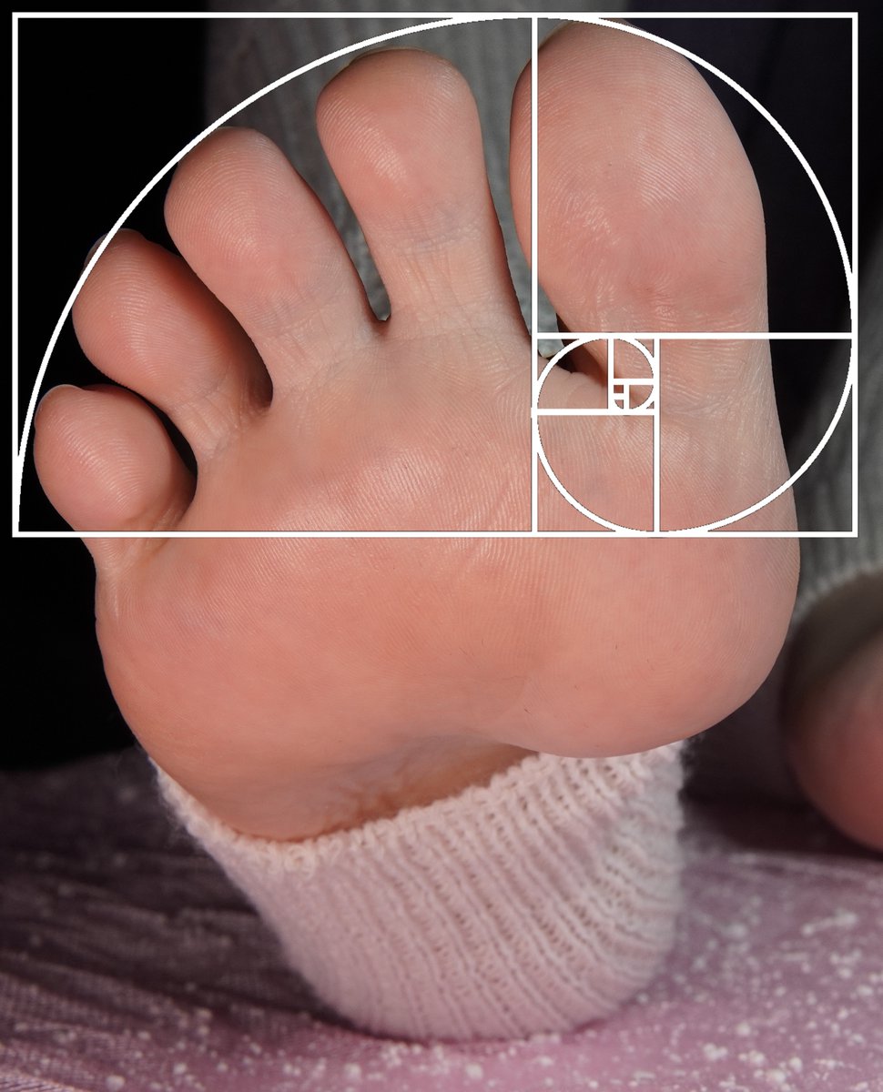 Toezarella tweet media