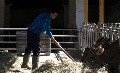 Tempero (@temperotv) on Twitter photo Mañana sábado también visitaremos la Finca Experimental de la #Garcipollera del <a href="/CITAAragon/">CITA Aragón</a> para mostrar las #prácticas ganaderas que realizan los #alumnos de #FP en sus instalaciones. A las 16:30h en <a href="/aragontv/">Aragón TV</a>
<a href="/cpifpmontearago/">CPIFP MONTEARAGON_ HUESCA</a> Mañana sábado también visitaremos la Finca Experimental de la #Garcipollera del <a href="/CITAAragon/">CITA Aragón</a> para mostrar las #prácticas ganaderas que realizan los #alumnos de #FP en sus instalaciones. A las 16:30h en <a href="/aragontv/">Aragón TV</a>
<a href="/cpifpmontearago/">CPIFP MONTEARAGON_ HUESCA</a>