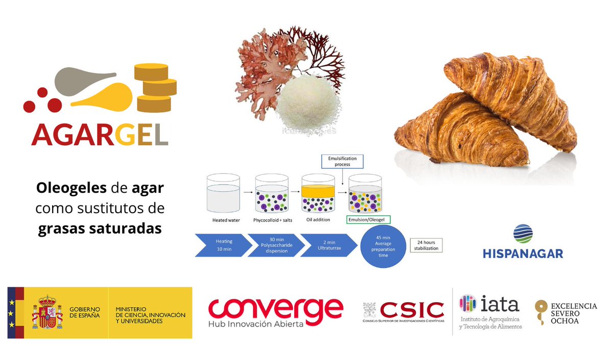 En el proyecto AGARGEL trabajamos junto a #Hispanagar en el #escalado de #oleogeles de #agar como sustitutos de #grasassaturadas en aplicaciones en #panadería.

👉biofun.csic.es/portfolio/agar…

<a href="/CSICmasI/">CSIC Innovación</a> <a href="/iata_csic/">IATA CSIC</a> #CSICCONVERGE #CSICCOCREA