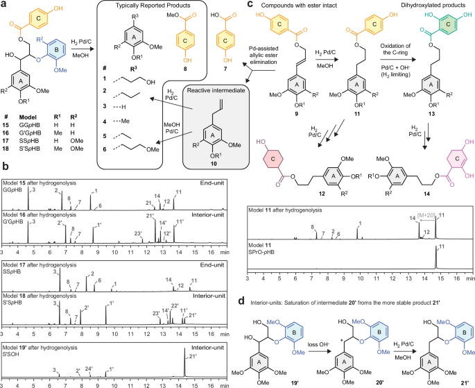 Pd/C promotes C–H bond activation and oxidation of p-hydroxybenzoate during hydrogenolysis of poplar nature.com/articles/s4146…