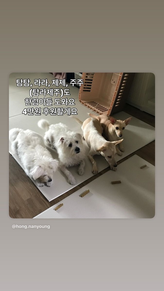 비바람을 피할 수 있는 한림이들의 마지막 집, 여러분과 함께합니다. 제주 유기견 보호소, 한림쉼터를 도와주세요.

후원 : 농협 355-0078-4849-93 사단법인 제제프렌즈