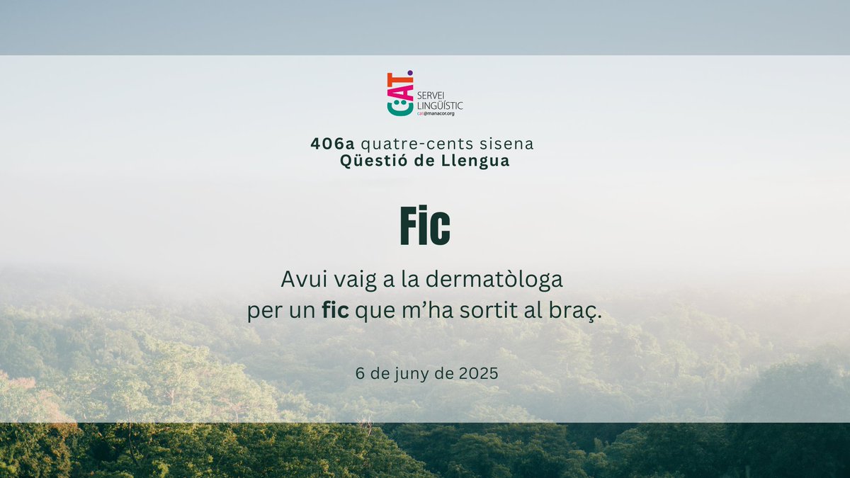 𝙵𝚒𝚌

(406) quatre-cents sisena Qüestió de Llengua

#QüestióDeLlengua #LlenguaCatalana #Manacor