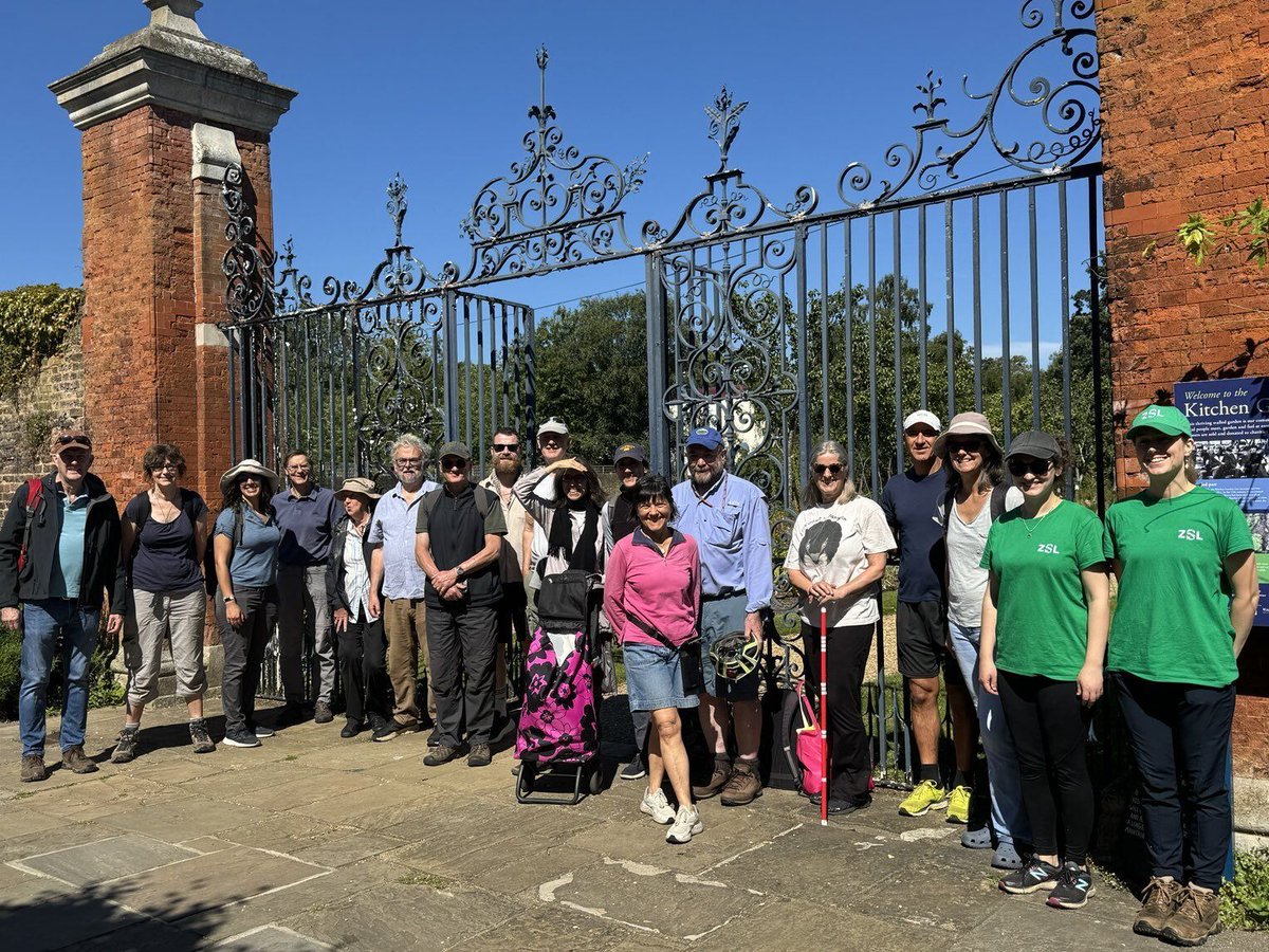 LondonHogWatch (@londonhogwatch) on Twitter photo Happy #VolunteersWeek 🧑🤝🧑
Our work isn't possible without the amazing volunteers who help us deploy our cameras across #London! Their local knowledge and hard work has been critical in helping conserve #hedgehogs. The BIGGEST thank you!🦔 <a href="/hedgehogsociety/">Hedgehog Society</a> @officialzsl Happy #VolunteersWeek 🧑🤝🧑
Our work isn't possible without the amazing volunteers who help us deploy our cameras across #London! Their local knowledge and hard work has been critical in helping conserve #hedgehogs. The BIGGEST thank you!🦔 <a href="/hedgehogsociety/">Hedgehog Society</a> @officialzsl