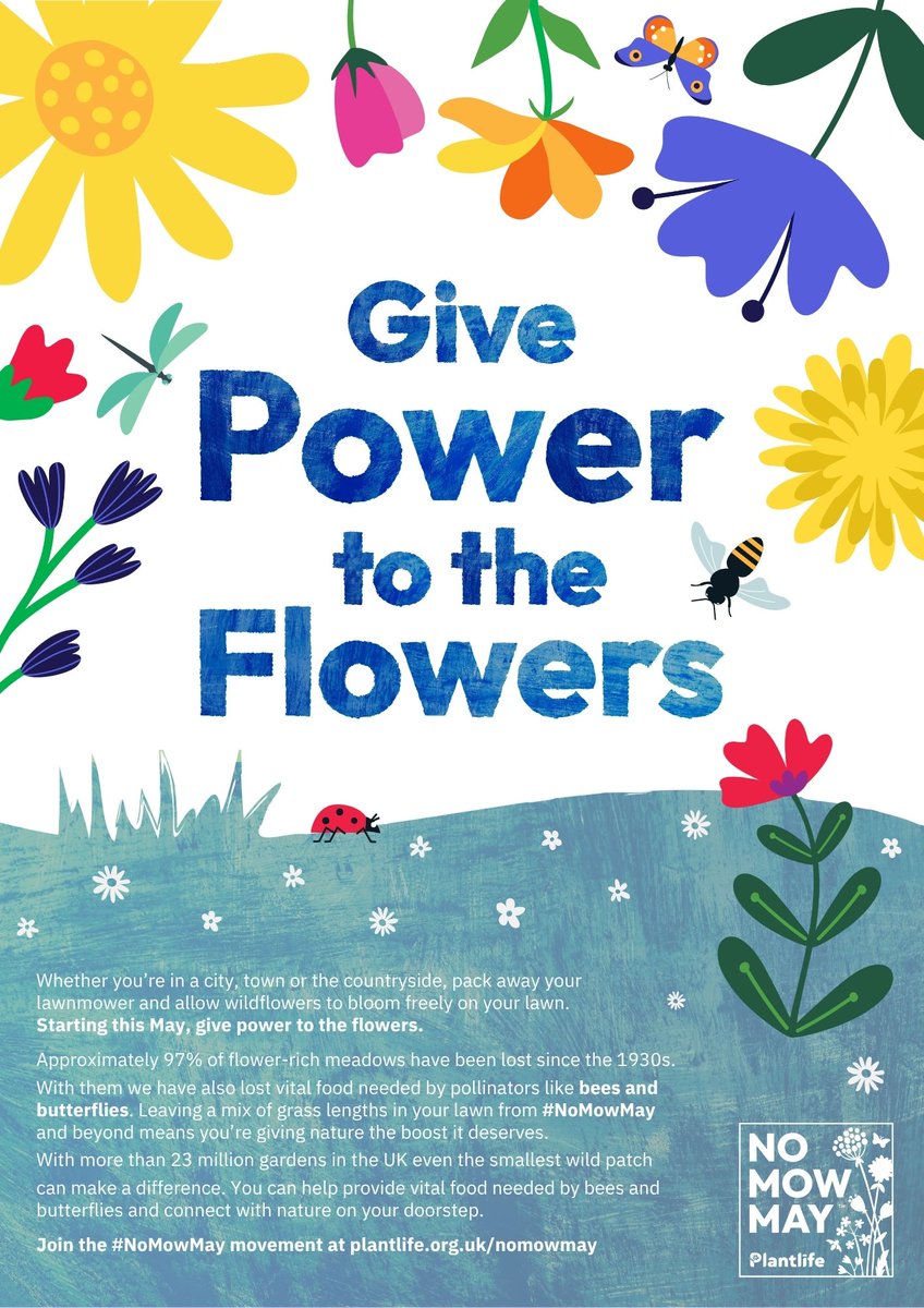 Mrs Hatherall (@hatherallmrs) on Twitter photo ECO FACT: letting your grass grow longer encourages wildflowers to grow, this is great for pollinating insects like bees & butterflies. Wildflowers also provide food for other creatures like birds and small mammals. #SAPSEco #NoMowMay #LetItBloomJune <a href="/Love_plants/">Plantlife</a> 🌍💚 <a href="/5tAndrews/">St. Andrew’s Primary School</a> ECO FACT: letting your grass grow longer encourages wildflowers to grow, this is great for pollinating insects like bees & butterflies. Wildflowers also provide food for other creatures like birds and small mammals. #SAPSEco #NoMowMay #LetItBloomJune <a href="/Love_plants/">Plantlife</a> 🌍💚 <a href="/5tAndrews/">St. Andrew’s Primary School</a>