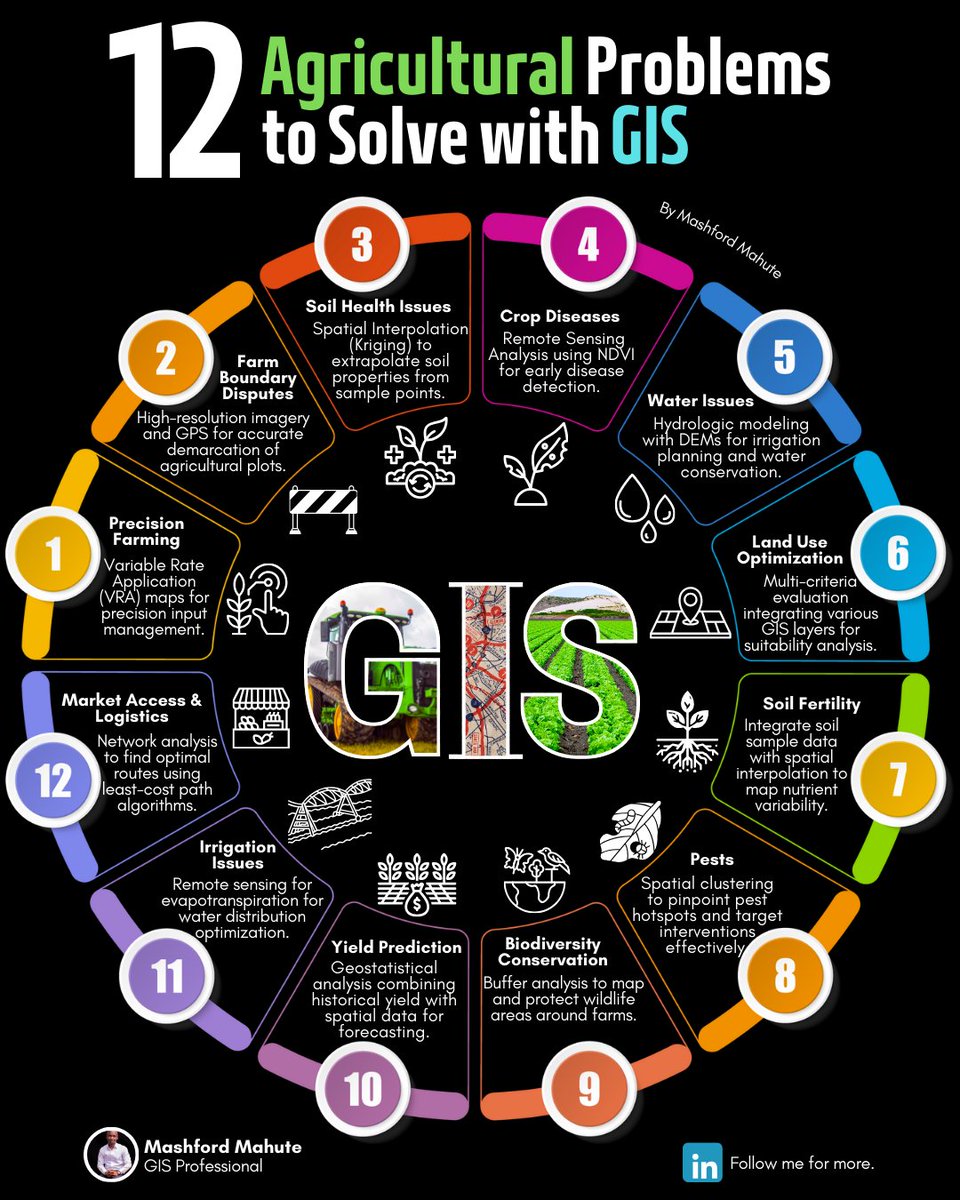 Mashford Mahute tweet media