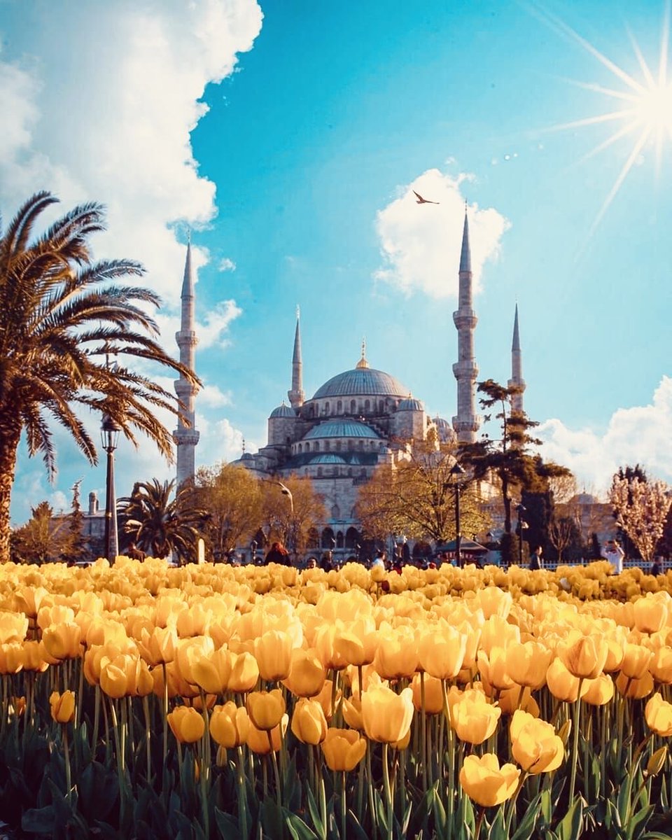 Daha nice mutlu bayramlara kavuşmak dileğiyle #KurbanBayramımız kutlu ve mübarek olsun.