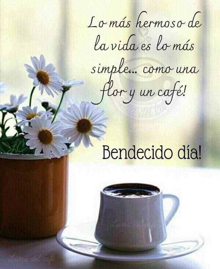 Feliz viernes gente X seguimos Gracias a Dios🙌🏻💓👀 a disfrutar de lo simple y confiar 🙏🏻