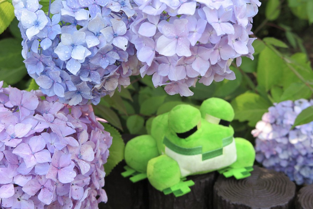 #建築カレンダー 6月のテーマは
「梅雨をイメージした建築」☔️

この投稿のコメントに
#建築カレンダー をつけ
テーマに沿った建築のスクリーンショットを
4枚投稿で応募完了🏠

Modやレイトレーシング機能を
ご使用の場合は
使ったものの正式名を
投稿に記載ください⚠️

🏠🔽
minecraft.net/ja-jp/article/…