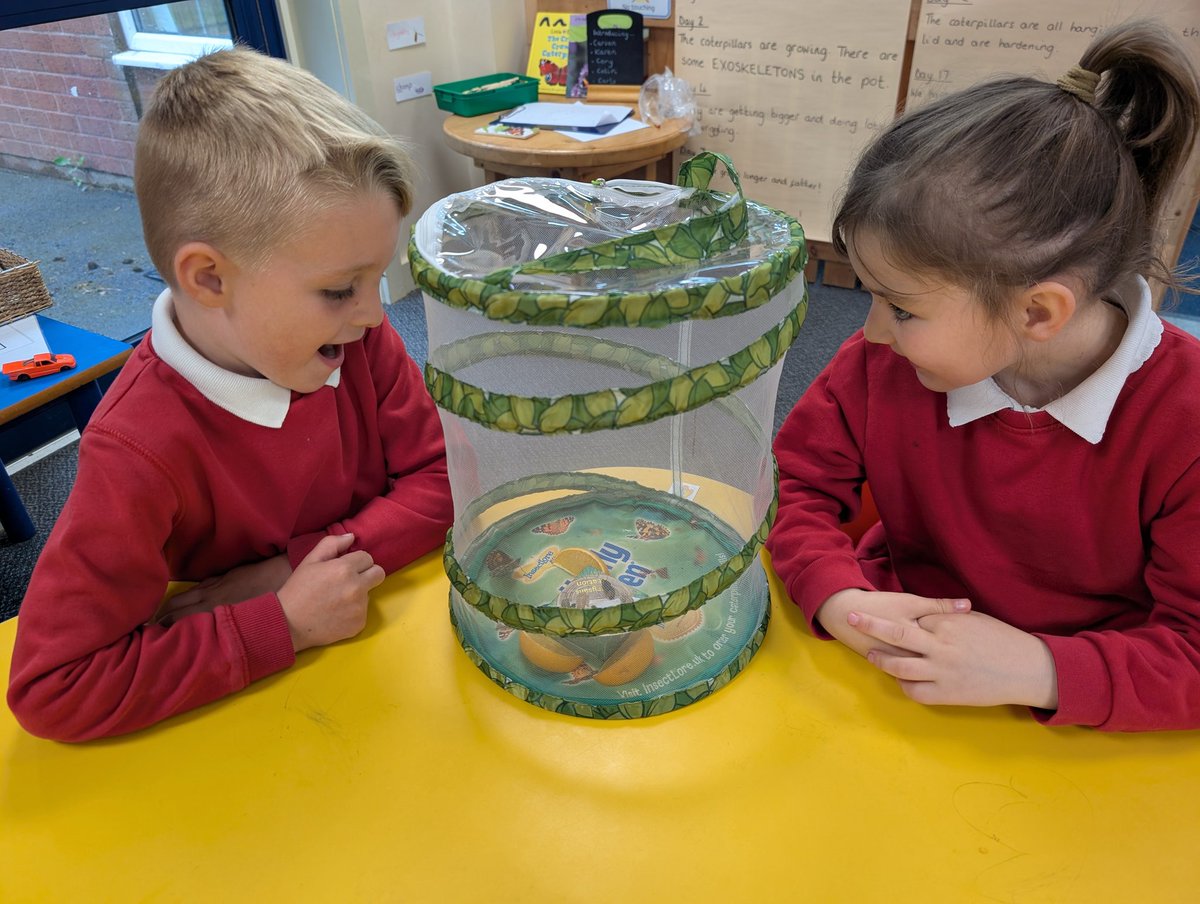 A&K Reception - Mrs Whitehouse tweet media