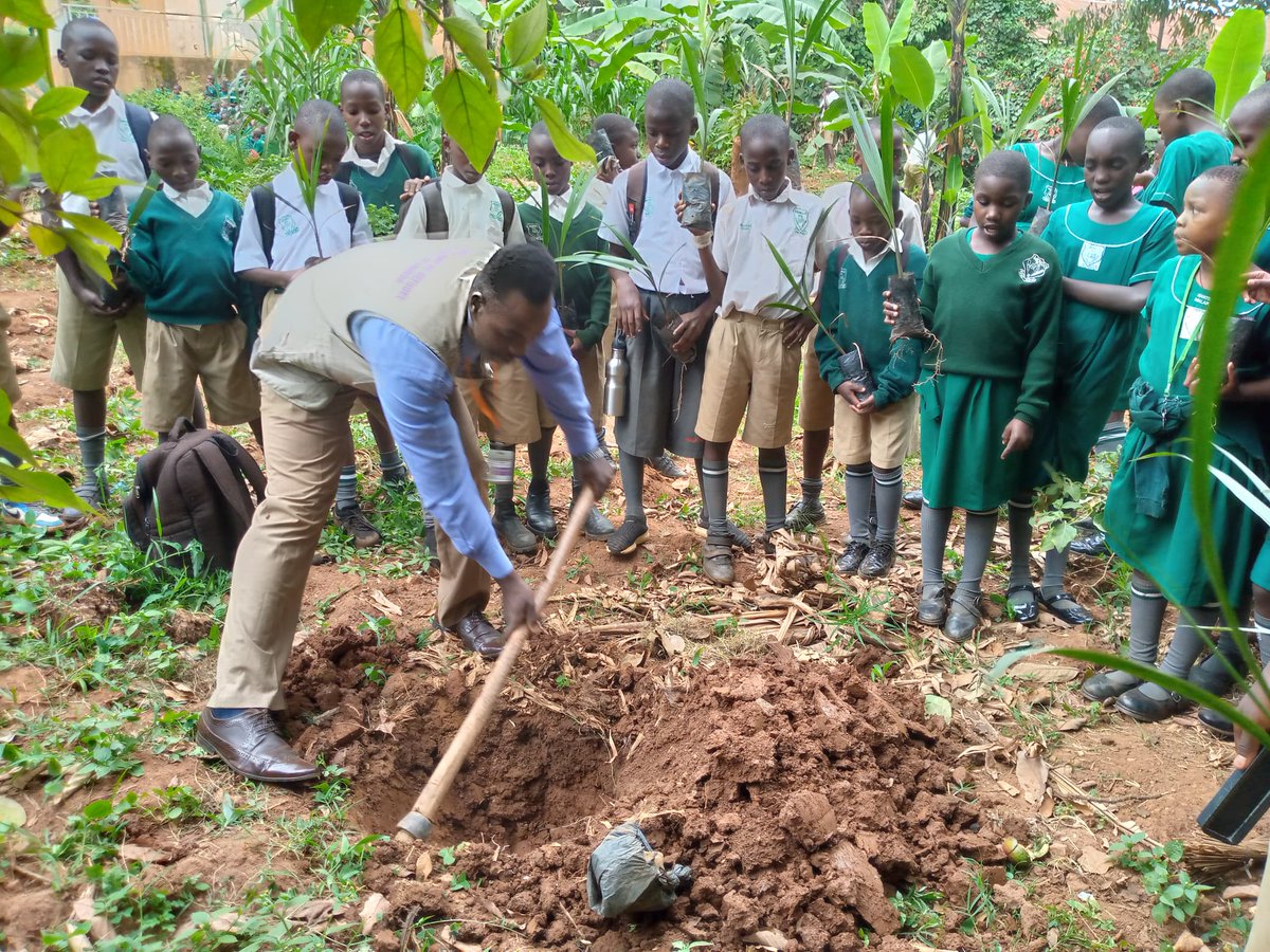 🌍 Celebrating World Environment Day at Namirembe Infant School 🌱
On this special day dedicated to our planet, AORW-U, joined the global movement to protect and restore the environment through a meaningful tree-planting activity. #WorldEnvironmentDay #TreePlanting #GreenerFutur