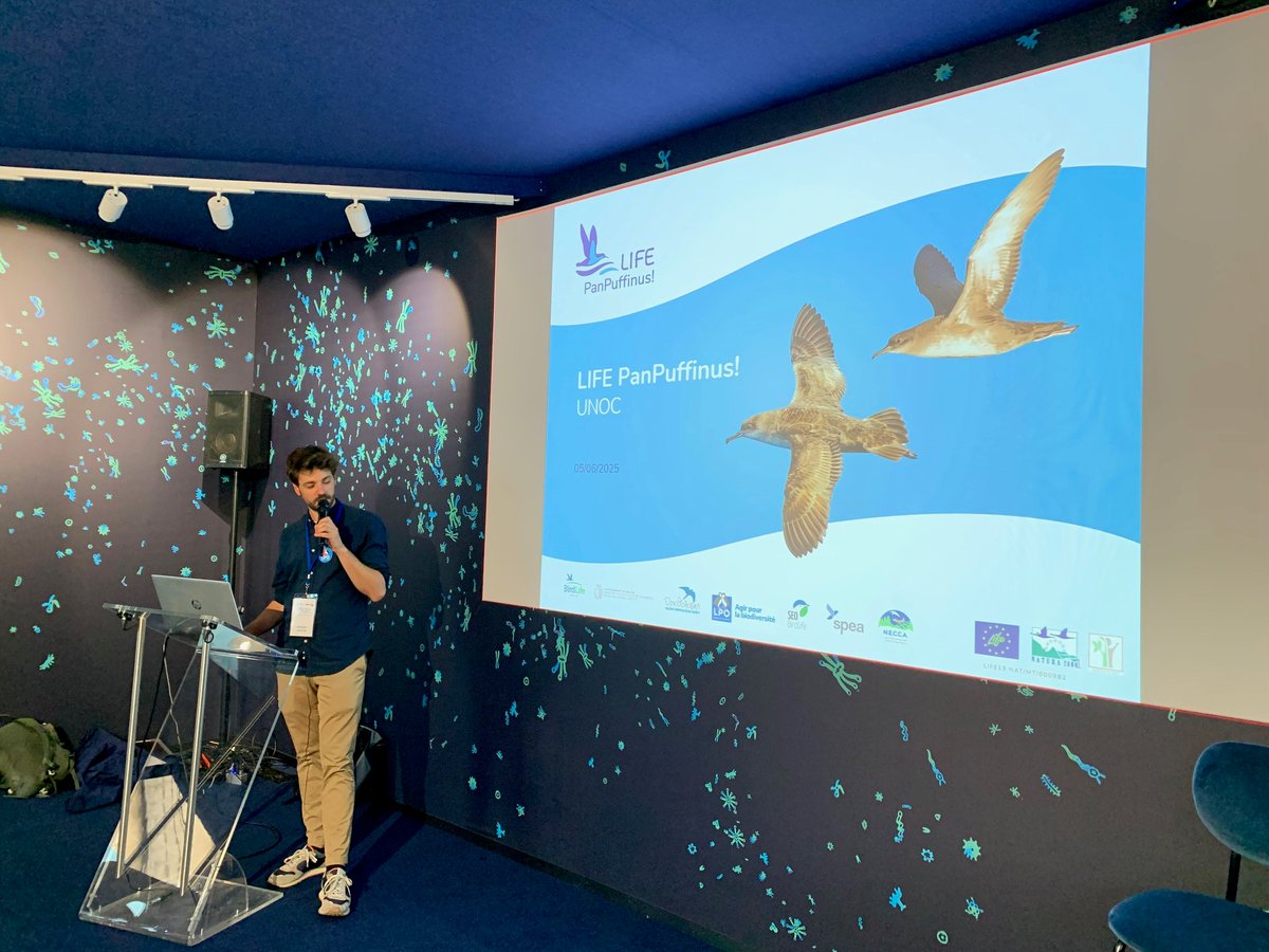 📍 On the occasion of the 3rd United Nations Ocean Conference (UNOC3) currently taking place in Nice (France), LPO France organized, on the 5th of June, a conference on the prevention of seabird bycatch.

🐦 Representatives from BirdLife International, <a href="/BirdLifeEurope/">BirdLife Europe & Central Asia</a>, and the