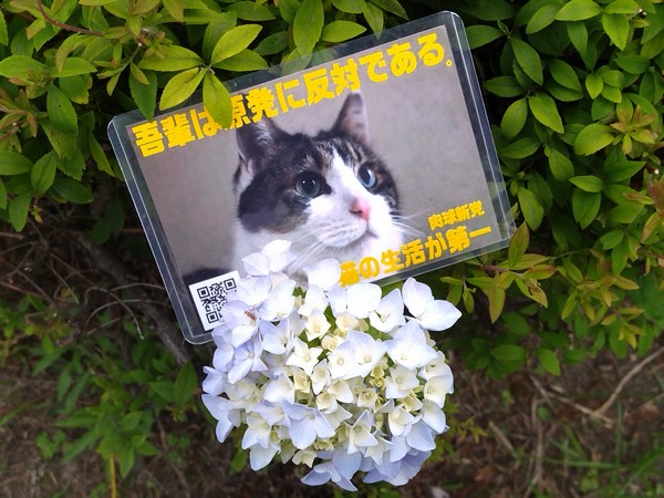 【2025】
2025/06/06 (金) 18:00頃
県外某所

#紫陽花革命 を忘れない。
全国の脱原発同志と共に。

#金曜行動（個人）#肉球新党
#玄海原発もう限界 #地震の国に原発いらない
#脱原発 #原発ゼロ #原発はオワコン #NoNukes
x.com/niku_9_den/sta…