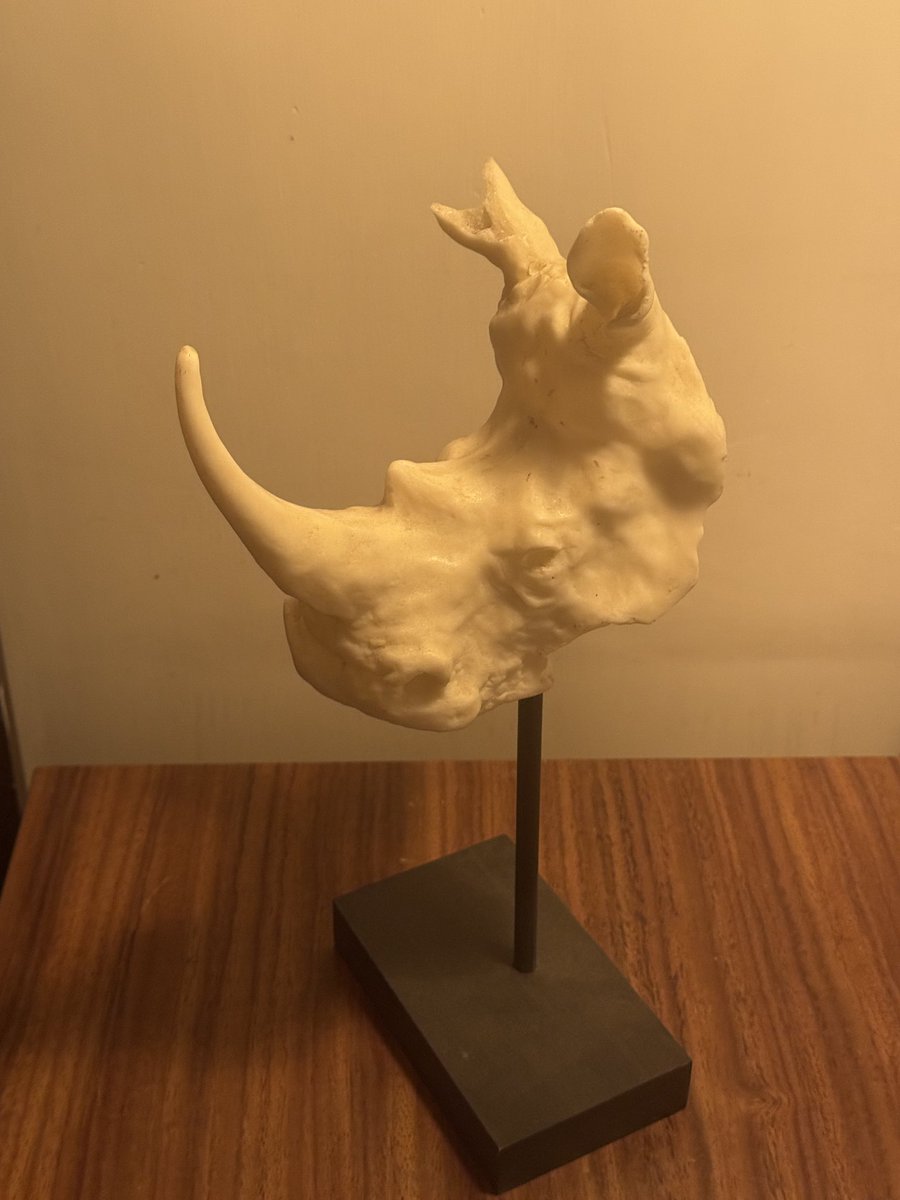 Magdiel Gómez (@magdielgmg) on Twitter photo 