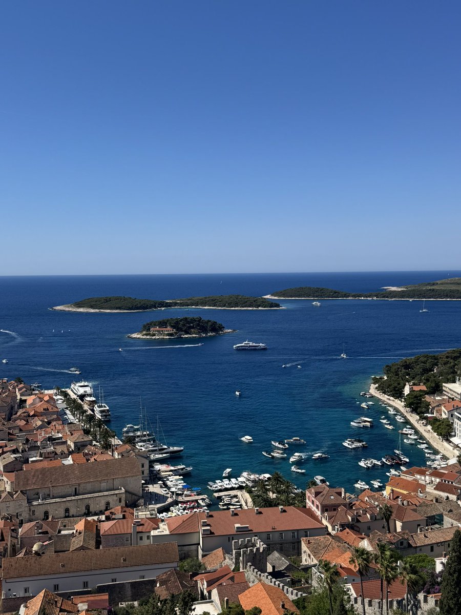 この美しいフヴァル島の人々の優しさや人情や心意気に感動する日々が続いている…

シーズンで忙しい中、こんなにも心から手を差し伸べてくれ、動いてくれ、協力してくれる人がたくさんいるこの島は本当に唯一無二の素晴らしい島✨

#クロアチア