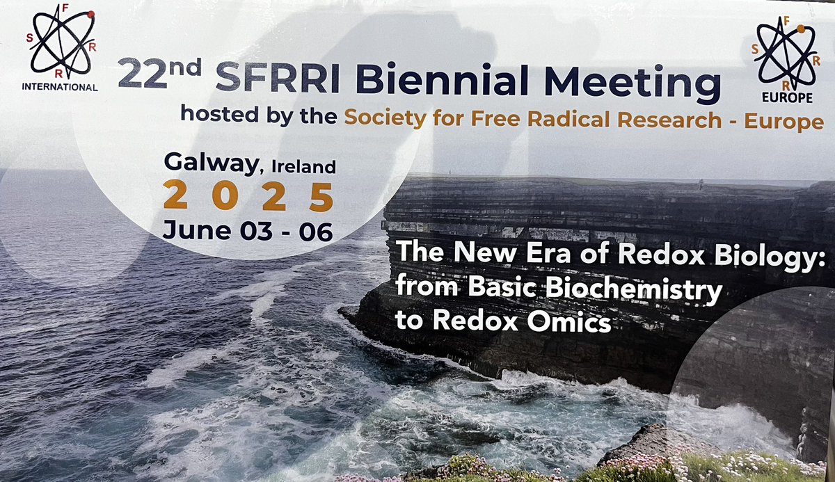 mann_ivel's tweet photo. 22nd SFRRI Biennial Meeting Galway, 3-6 Jun 2025 SFRR-Europe ECR Fellowship Award presentations …congratulations to all awardees for great talks and continued support of SFRRE (https://t.co/cm5gZWsZpz) @SFRR_Europe @SFRBM @SFRRAustralasia @elsbiomedchem https://t.co/C09qt6WRtq